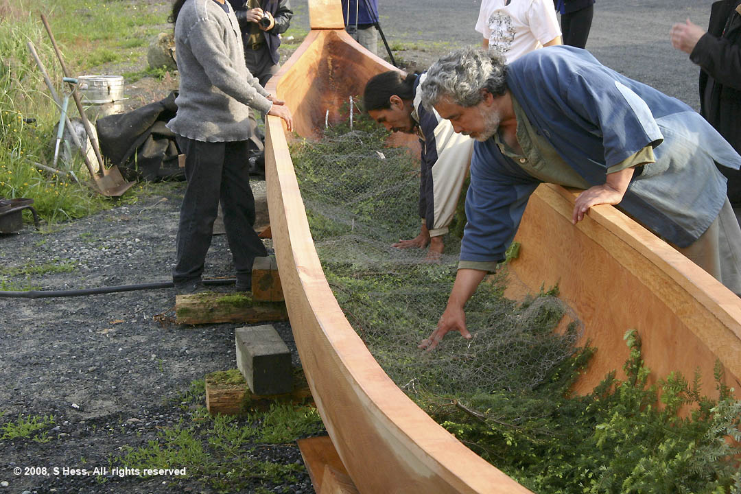 Evergreen boughs placed on the interior of the canoe to protect it from the hot rocks